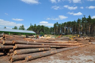 Zakład Tartaczny w Majdanie Wielkim k. Krasnobrodu